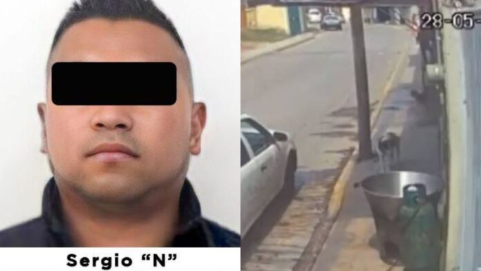 Perrito