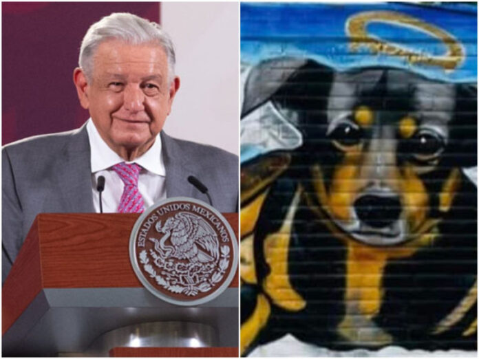 Perro
