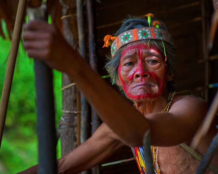 Indigena