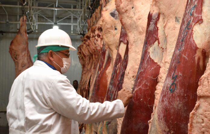 Carne