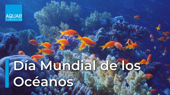 Mundial