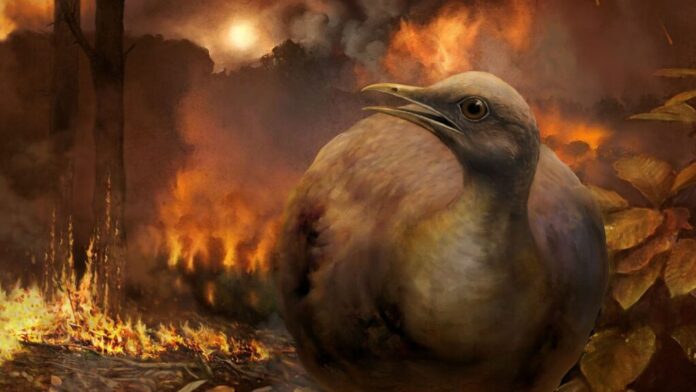 Aves modernas sorprenden