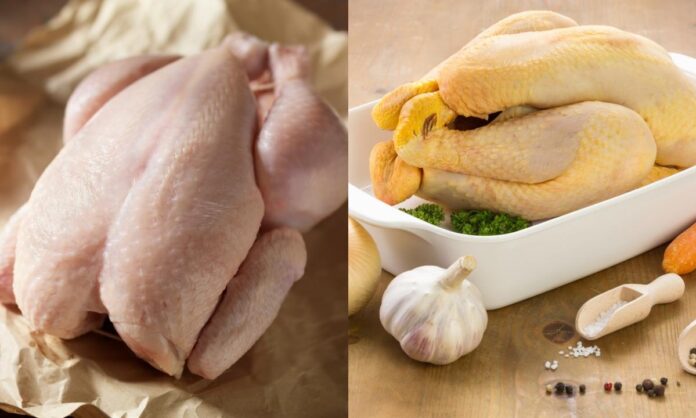 Pollo blanco vs. pollo amarillo: