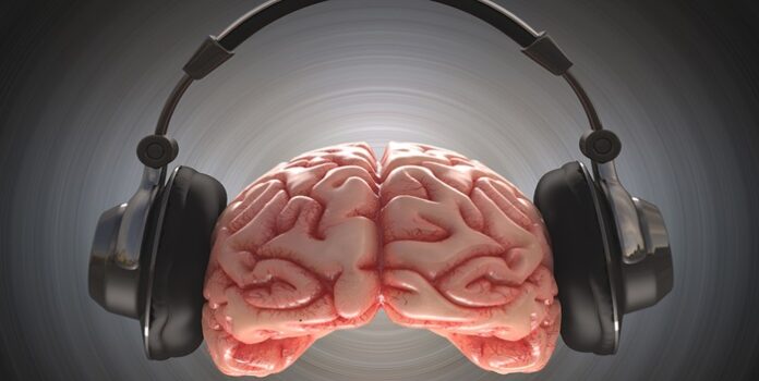 El cerebro humano