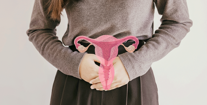 Aboga por menstruación
