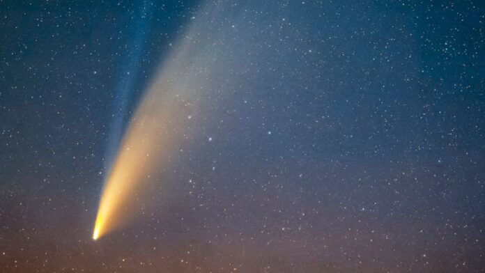 Cometa diablo